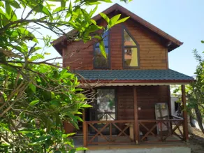 Detached high-ceiling tree house 200 meters from the sea - Image 4