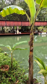 Private Pool Villa - Image 3