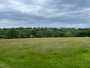 Meadow View - Image 4