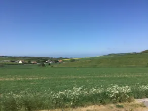 On the Road to the Sea - Image 2