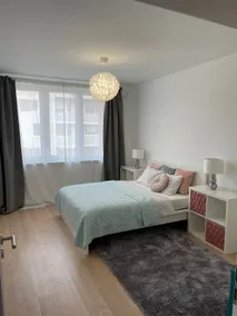 Brand New 2-room Flat with 2 Own Parking Spaces - Image 3