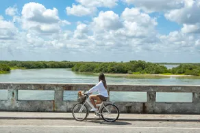 Coastal House next to the Mangrove - Image 3