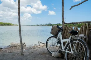 Coastal House next to the Mangrove - Image 5