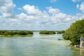 Coastal House next to the Mangrove - Image 4