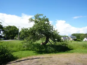 Wild Forever Farm - Image 5
