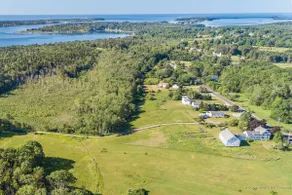 Wild Forever Farm - Image 4