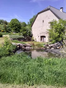 Cantal Gîte 15 Pers in a little corner of paradise - Image 3