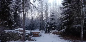 Log Cabin with hot-tub & Sauna, secluded location - Image 3