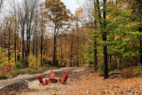Rocky Ledge: Cozy Pet-Friendly 3BR Log Cabin - Image 2