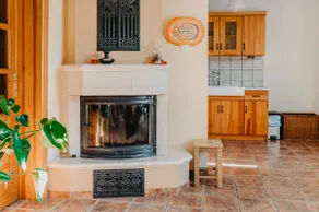 Spacious house with fireplace near lakes and forest - Image 5