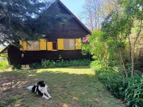 Cévenol Cottage in a small hamlet - Image 2