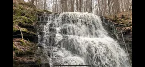 GameRm-Waterfall&Deck-Slp19-FirePit-View-Pavilion - Image 3