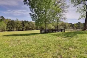 Private Cottage! On Horse Rescue in Williamsburg! - Image 5