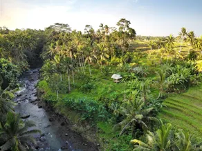 Villa Kupu Kupu Blayu - Amazing Rice Field view Between Canggu and Ubud - Image 2