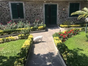 Casa Alfonso, Ischia - Image 4