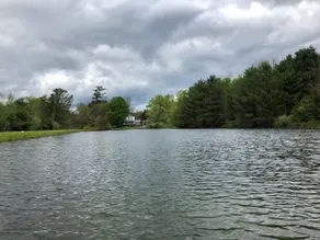 The Stewart Manor, Catskills, private oasis with private lake, boat, & 11 acres - Image 4
