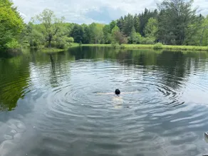 The Stewart Manor, Catskills, private oasis with private lake, boat, & 11 acres - Image 5