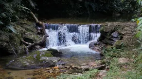 BEAUTIFUL CABIN in THE ATLANTIC FOREST WITH POOL - Image 5