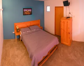 Pet-friendly hotel with pool and bar in Ica - Image 4