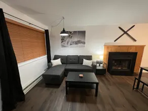 Quiet/cozy, close to slopes apartment - Image 3