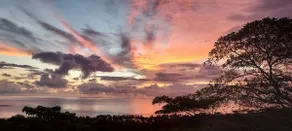 Penthouse: panoramic view of ocean and jungle - Image 2