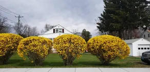 Cozy 2-bedroom vacation home《 free WiFi & parking 》New London, Connecticut, USA - Image 3