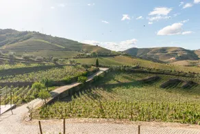 Stunning Boutique Vineyard Stay with Pool - Image 5