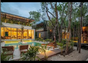 Reflective Jungle Treehouse - Image 2