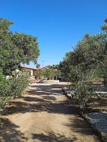 Olive green house_near sandy beaches! - Image 4