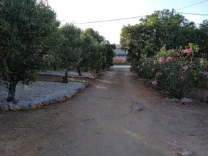 Olive green house_near sandy beaches! - Image 3