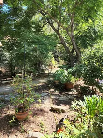 Light-Filled Magical Apt. Surrounded by Nature - Image 3