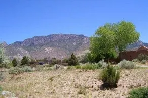 Sandia Heights Premiere Rental - Image 3