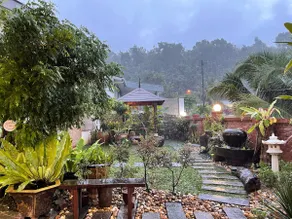 Cozy mountain jungle wood home with Kid Pool - Image 2