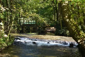 Idyllic Valley, nr Brentor, Dartmoor. - Image 3