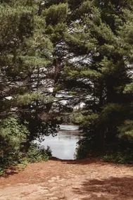 River Otter Inn - Your Glamping Getaway - Image 4