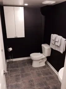 Exquisite Studio Basement Suite - Image 5