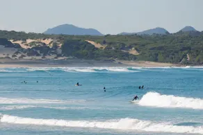 Boat Harbour Cottage pet friendly & 300m to Beach - Image 5