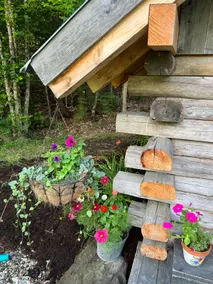 The Cabin on the Pond - Image 3