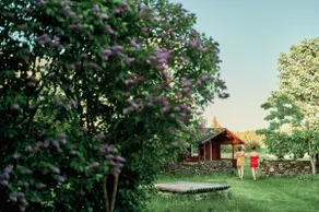 Matsi cottage - Image 3