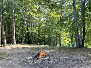 Secluded Wooded Getaway w/ 2BR 2BA + Private Lake - Image 5