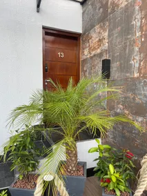 Praia do Forte/Apartment 13 - Image 5