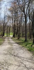 Mountain View Retreat - Ohiopyle 6 miles! - Image 3