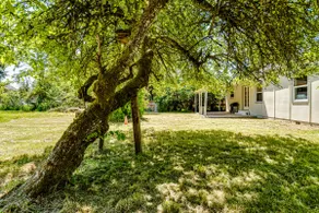 Relax in our Spacious home with a Spacious yard - Image 3
