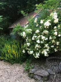 Butters Cottage ~ Dog-friendly ~ Glorious setting. - Image 2