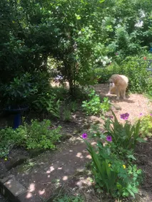 Butters Cottage ~ Dog-friendly ~ Glorious setting. - Image 3