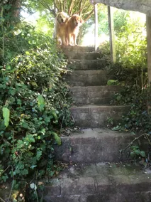 Butters Cottage ~ Dog-friendly ~ Glorious setting. - Image 5