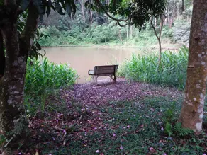 Charming lakeside cottage - Image 5