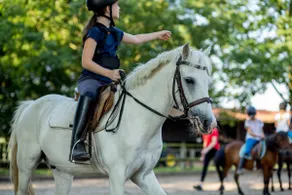Shettyweide | Country tranquility, horse pastures & workation - Image 4