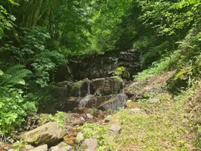 LINCA House near the Waterfall - Image 2