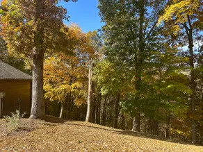 Family Vacation Cabin with Great views - Image 4